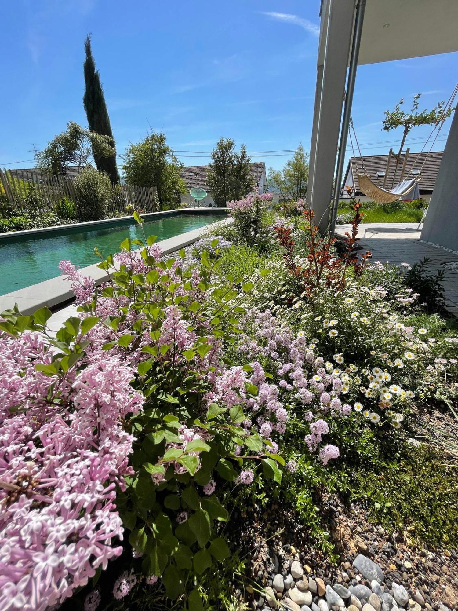 Seezeichen-Apartment No 26 Bodman-Ludwigshafen Εξωτερικό φωτογραφία